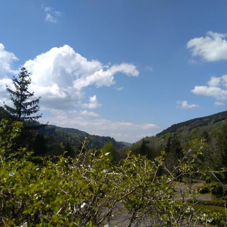 Le Relais Charraud Apartman Mont-Dore Kültér fotó